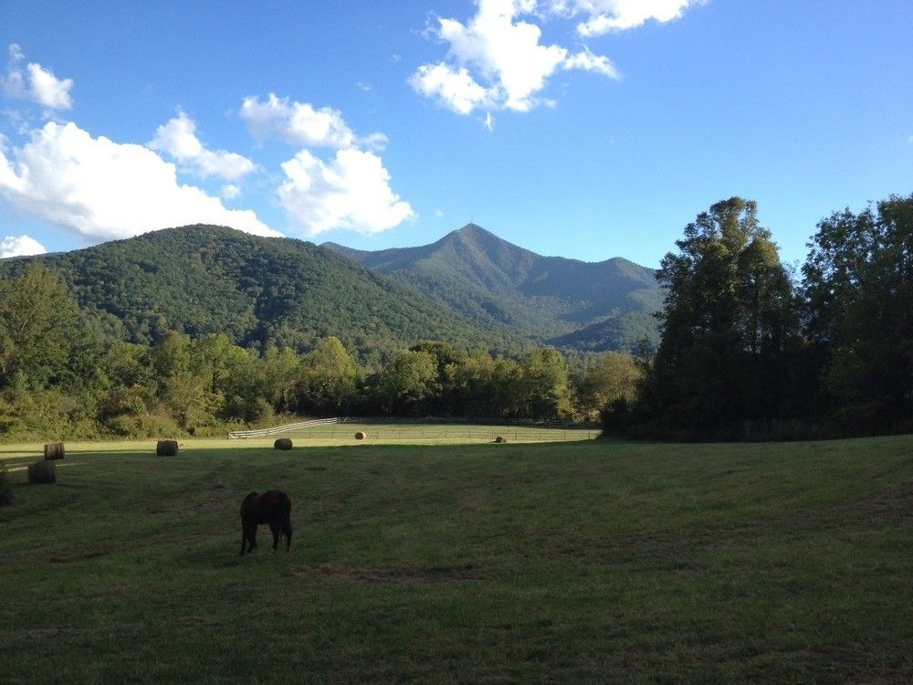 Candler Pisgah View Ranch酒店 外观 照片