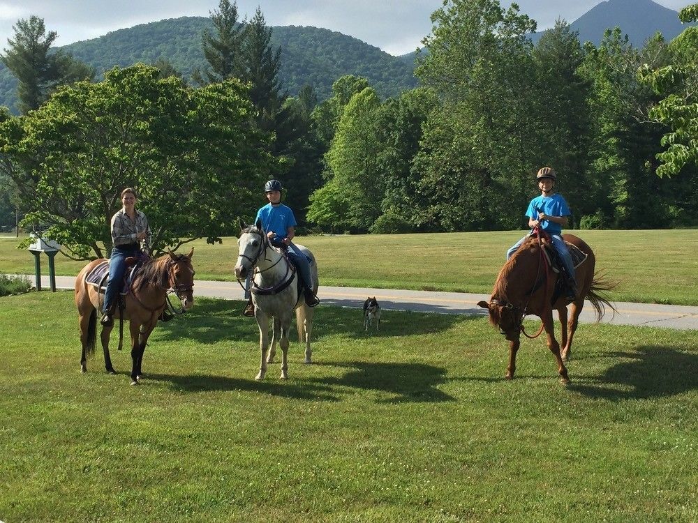 Candler Pisgah View Ranch酒店 外观 照片